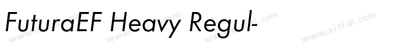 FuturaEF Heavy Regul字体转换